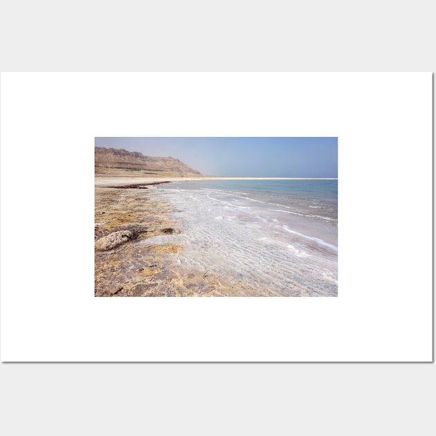 Salt deposits on the shore of the Dead Sea, Israel (C040/6831) Wall Art by SciencePhoto